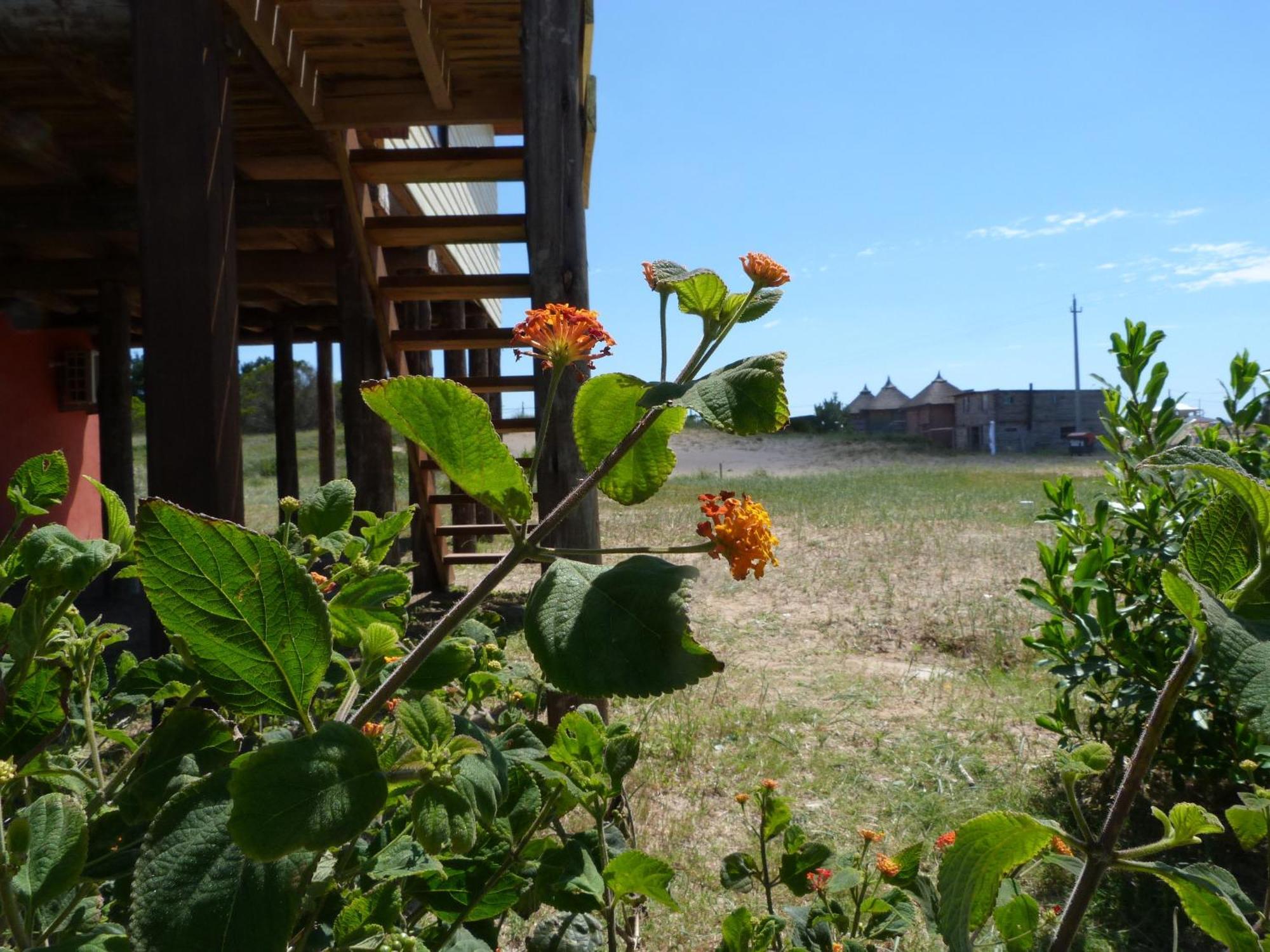 Cabanas El Ocio Punta Del Diablo Dış mekan fotoğraf
